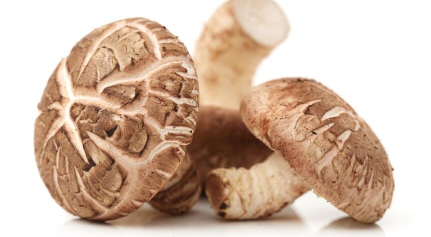 Weiprost contiene funghi shiitake